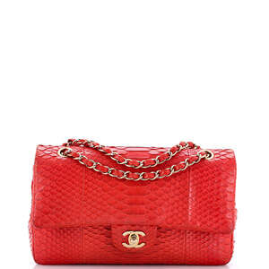 Chanel Medium Classic Double Flap Bag Python